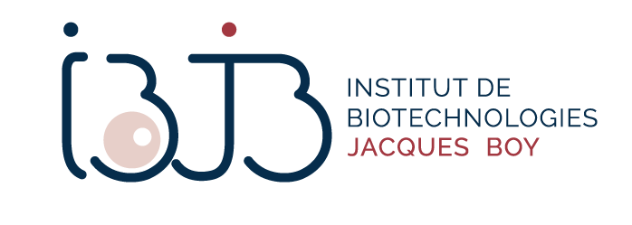 logo IBJB